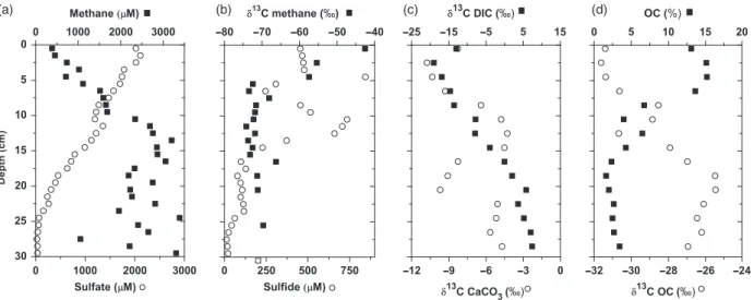 Fig. 1. Geochemical gradients in Lake Cadagno sediment core. (a) Methane and sulfate concentrations in mM
