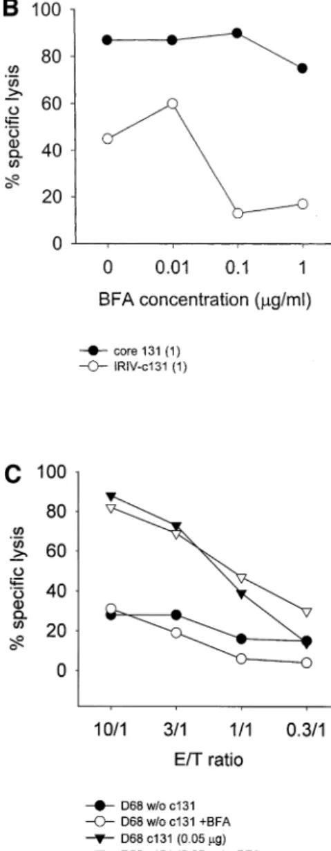 Fig. 4. In¯uence of BFA on peptide presentation in (A) JY and (B) T2 target cells. Targets were preincubated either in the absence or the presence of various BFA concentrations ranging between 10 ng/ml and 3 mg/ml for 4 h and then either 1 mg/ml of core 13