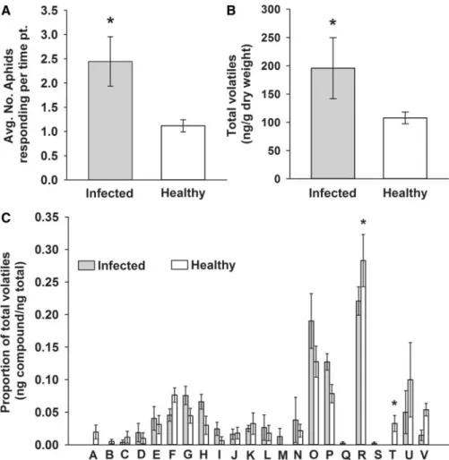 Fig. 4 Volatile emissions from KVPG2-CMV-infected squash and vector preferences. (A) Settling preferences of A