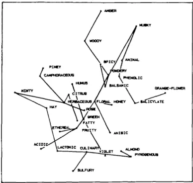 Fig. 7. Linkages of the minimal spanning tree drawn on the non-linear map.