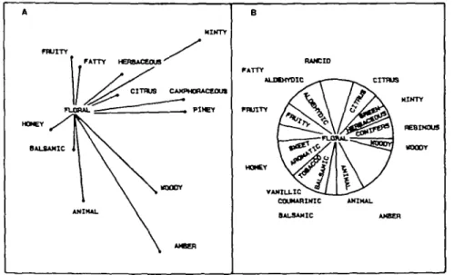 Fig. 3. Representation of the olfactory space centered on the note floral. (A) From our results