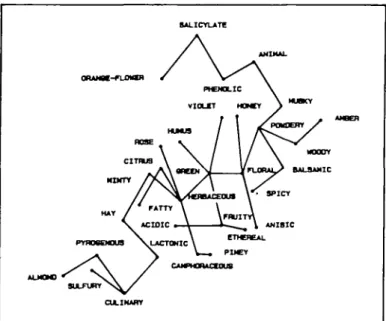 Fig. 5. Minimal spanning tree of the 32 olfactory notes obtained using the second nearest neighbor method.