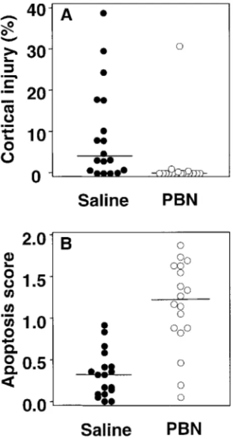 Figure 3. Effect of treatment with radical scavenger a-phenyl-tert- a-phenyl-tert-butyl nitrone (PBN) on neuronal injury in infant rats with  pneumo-coccal meningitis