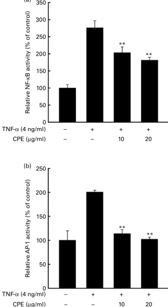 Fig. 2. Effects of cocoa polyphenol extract (CPE) on TNF-a-induced transac- transac-tivation of NF-kB and activator protein-1 (AP-1) in promotion-sensitive (P þ ) JB6 mouse epidermal cells