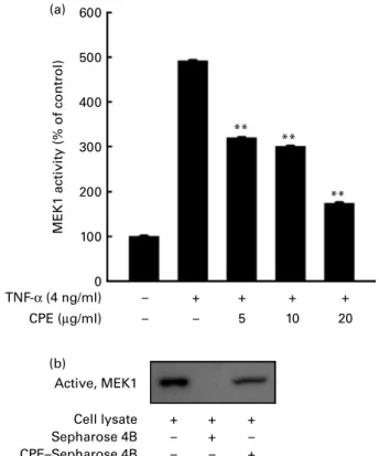 Fig. 6. Cocoa polyphenol extract (CPE) suppresses TNF-a-induced mitogen- mitogen-activated protein kinase kinase-1 (MEK1) activity and directly binds MEK1.