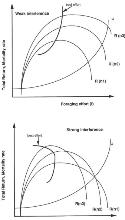 FIG. 3 .  Total return rate for the colony  if  n l ,  n2, or n3  workers (n3  >  n2  >  n l )  are allocated to foraging, each  working at effort  f