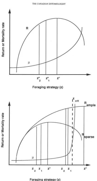 FIG.  4.  Return  (R) and mortality  ( p )  rate as a function  of  foraging  strategy (z)