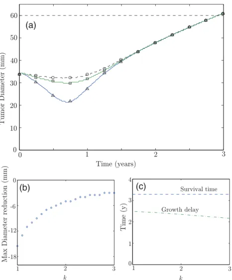 Fig. 3. (a) Tumour diameter evolution for three different values of k = 1 (triangles), k = 2 (squares) and k = 3 (circles) for ρ = 0.00712 day −1 