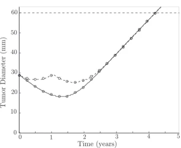 Fig. 6. Tumour diameter evolution for parameter values D = 0.007 mm 2 /day, ρ = 0.00356 day − 1 , initial data as in Fig