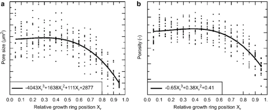 Figure 2 Pore sizes (a) and porosities (b) as a function of a dimensionless relative position in the growth ring (in which: 0.0 represents earlywood and 1.0 represents latewood)