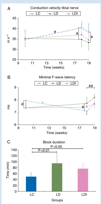 Fig 2 Development of sensible conduction velocity ( A ) and minimal F-wave latency ( B ) over time in the three experimental groups