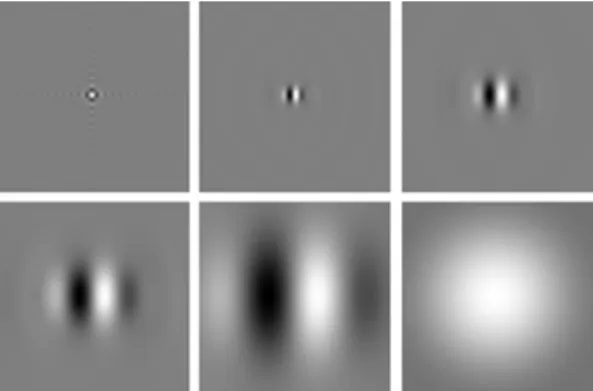 Figure 3. Steerable Pyramid wavelets with N = 6 basis orientations, centred at the origin of the plane