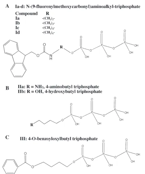 Figure 1. Structures of the compounds used in this study. (A) Ia-d fluorenylmethoxycarbonyl-derivatives