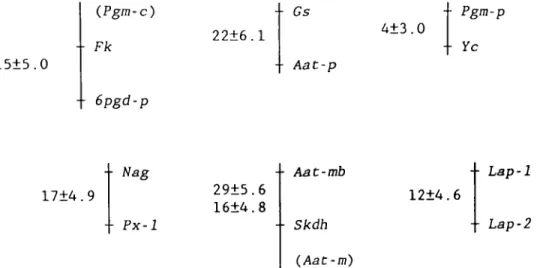Figure 3. Six linkage groups in lentil as determined by joint segregation of isozyme and morphological markers.