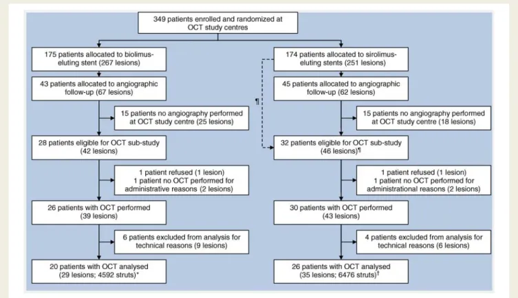 Figure 1 Trial profile. } Two patients allocated to sirolimus-eluting stents and clinical follow-up only (two lesions) had a clinically indicated angiography and underwent optical coherence tomography; *One patient allocated to biolimus-eluting stents (two