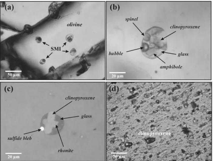 Fig. 3. Petrography of the melt inclusions. (a) Multiphase SMIs in olivine (NNS07); (b) close-up of a non-exposed multiphase melt inclusion in olivine (NNS07); (c) melt inclusion containing sulphide bleb in olivine (RL) (NNS07); (d) clinopyroxene crystal p