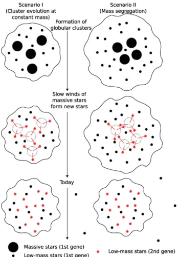 Figure 6. Schematic evolution of a globular cluster: a ﬁrst generation of stars is formed from a giant molecular cloud