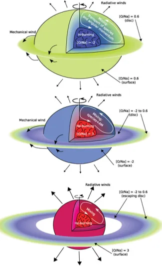 Figure 5. Schematic view of the evolution of fast-rotating massive stars. The colours reﬂect the chemical composition of the various stellar regions and of the disk: green corresponds to the initial chemical composition, blue and red are, respectively, for