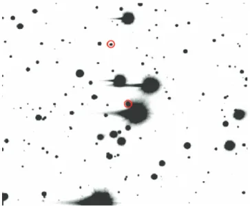 Figure 3. The R-band differential light curve (top panel) and the light curves for [O III ] λ5007 Å, Hβ and continuum at 5100 Å are plotted