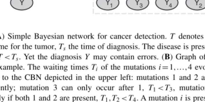 Fig. 1. (A) Simple Bayesian network for cancer detection. T denotes the waiting time for the tumor, T s the time of diagnosis