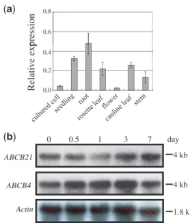 Fig. 2 Expression profile of ABCB21 in Arabidopsis. (a) Organ-specific expression of ABCB21 monitored by real-time RT–PCR