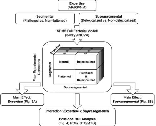Figure 1. In this figure the methodical framework is depicted. The 3 factors expertise, suprasegmental and segmental leads us to an orthogonal design that has been calculated by using a full factorial design (3-way ANOVA), provided by SPM5: expertise (AP/R