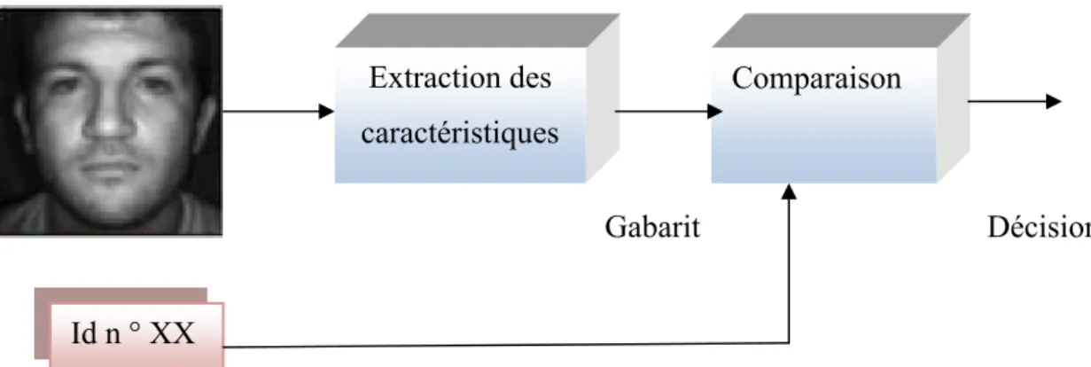 Figure 1.8 : Schéma d’identification du visage