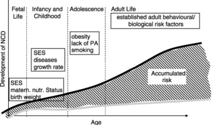 Fig. 2 Scope for NCD prevention—a life course approach. Source: adapted from Aboderin et al