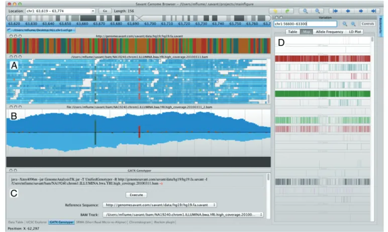 Figure 1. The Savant Genome Browser interface. (A) Read alignment track in Standard mode