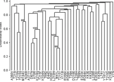 Figure 2. Clustering of connection domain and drug resistance mutations. Shown are the results of hierarchical clustering analysis of 37 mutations significantly associated with exposure to antiretroviral therapy from 334 subtype B sequences