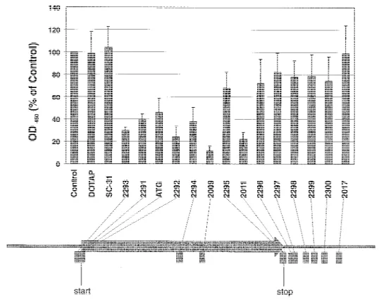 Fig. 2. Cytotoxic effect of antisense oligode- oligode-oxynucleotides (ODNs) targeting different  re-gions of the bcl-2 messenger RNA on SW2 cells