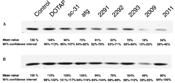 Fig. 5 shows the results plotted as forward scatter against side scatter, which allows the identification of morphologically intact cells, apoptotic cells, and apoptotic bodies