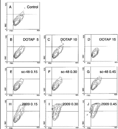 Fig. 5. Morphology of SW2 cells after treatment with oligo- oligo-deoxynucleotides (ODNs) 2009 and the scrambled-sequence control sc-48