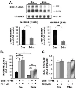 Figure 5. Pituitary growth hormone secretagogue receptor (GHS-R) messen- messen-ger RNA (mRNA) levels and sensitivity of pituitary cells to ghrelin in relation with age