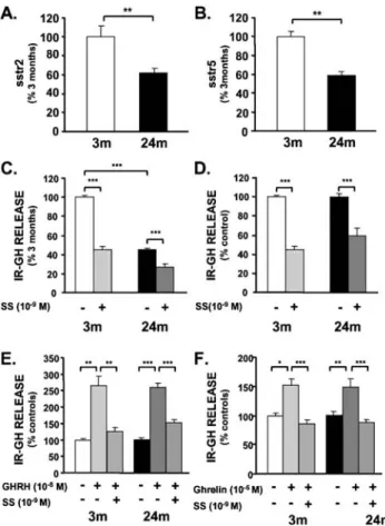 Figure 6. Pituitary somatostatin (SS) receptor subtypes messenger RNA (mRNA) levels and sensitivity of pituitary cells to SS in young (3 month [3m]) and old (24m) rats