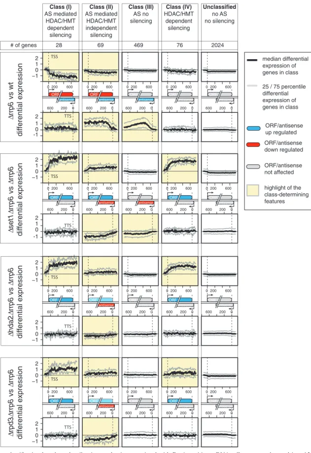 Figure 2. Gene classiﬁcation based on the silencing mechanism associated with Rrp6-sensitive asRNAs