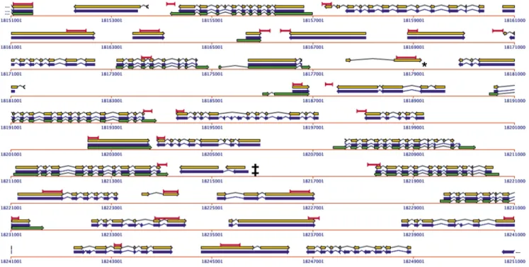 Figure 1. Comparison of EuGe`ne and AGI gene predictions and cDNA sequences in a region of Arabidopsis thaliana chromosome 2