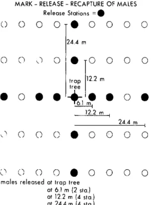 FIG. I.-Location of release points for marked G. molesta males, who were color-coded by distance of release from  cen-tral monitoring trap