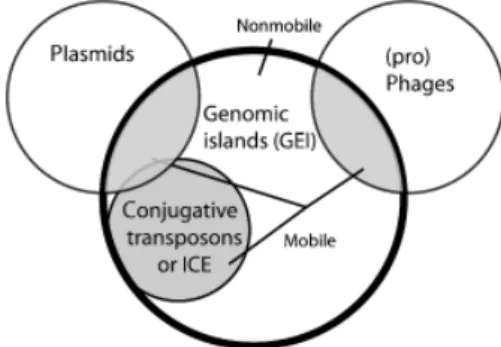 Fig. 2. Variable types of GEIs. GEIs come in a large spectrum of varieties and encompass other categories of elements, such as conjugative transposons/ICEs, integrated plasmids, nonreplicative but excisable  ele-ments, and cryptic or damaged prophages