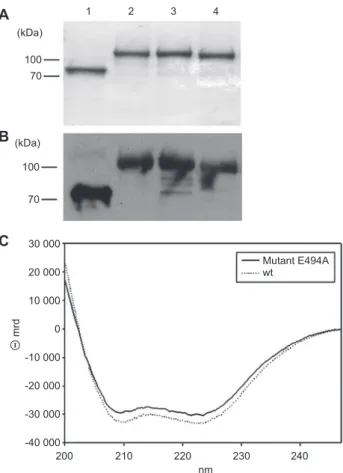 Figure 1     Purifi cation of Zmp1 and its structure in solution. 