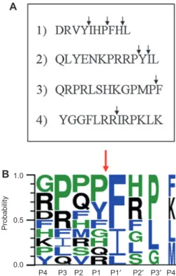 Figure 3     Hydrolysis of hormone peptides by Zmp1. 