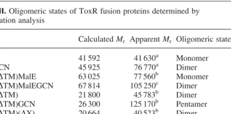 Table II. Oligomeric states of ToxR fusion proteins determined by gel filtration analysis