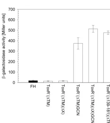 Fig. 3. Organization of the N-terminal, cytoplasmic DNA-binding domain of ToxR. (A) Predicted secondary structure of the wHTH motif in ToxR (according to Krukonis et al., 2000)