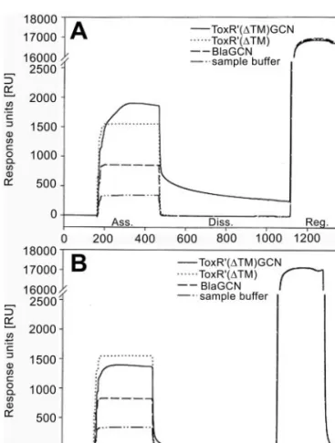 Fig. 6. Analysis of the interaction of ToxR 0 (DTM) and ToxR 0 (DTM)GCN with ctx- (A) and hel- (B) DNA by surface plasmon resonance