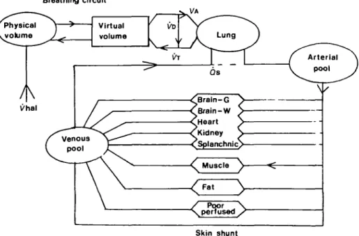 FIG. 3. Block diagram of Zwart's anaesthetic uptake and circulation model. The model has halothane- halothane-dependent blood flow to nine tissue compartments, halothane halothane-dependent (Jt, and fixed arterial-venous shunt