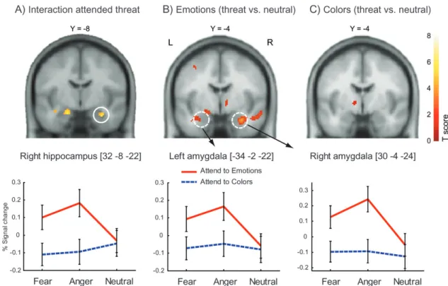 Figure 4. Attentional modulation in hippocampus and amygdala. Group average activation and percent signal change showing (A) the interaction for attended threat in the right anterior hippocampus/posterior amygdala and (B) the bilateral amygdala response to