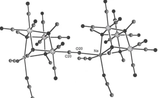 Fig. 7. &#34;Schakal&#34; presentation of two [NaTc3(CO)9(OCH3)4] units linked by the isocarbonyl bond  &#34; 0 2 0 - N a &#34; 