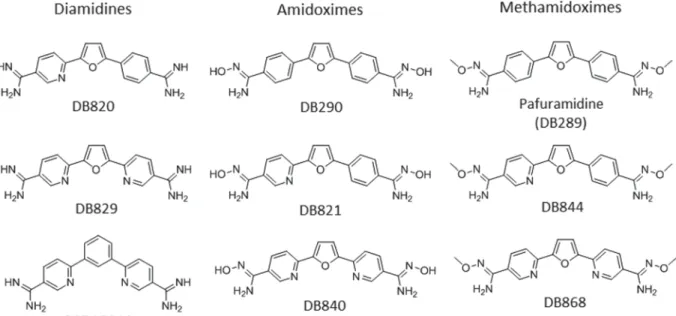 Fig. 4. Representative examples of AIAs tested against intracellular Leishmania. Panel A – Compounds possessing potent antileishmanial activity (IC 50 values &lt;1 μ M )