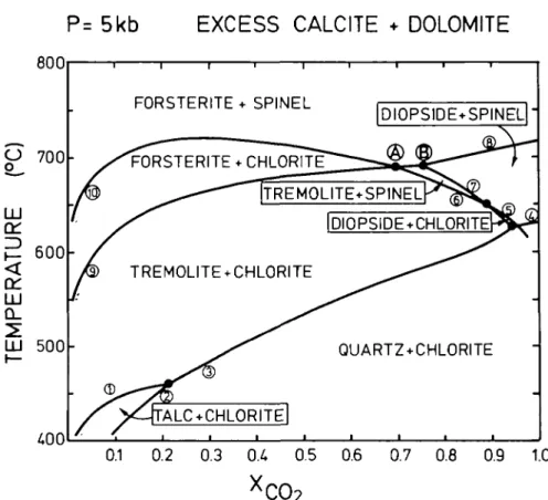 FIG. 11. Isobaric temperature versus X co&gt;  diagram showing equilibrium conditions for the reactions given on Table 6 for marbles containing calcite and dolomite in excess at 5 kb.