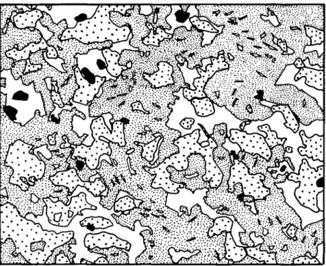 FIG. 1. General texture of GGU 169570. Diagonal of drawing approximately 2 cm. White: dolomite: coarse stippled: silicate minerals; fine stippled: calcite; black: spinel.
